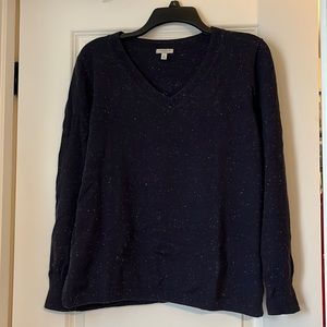 Speckled Navy V-Neck Loft Sweater